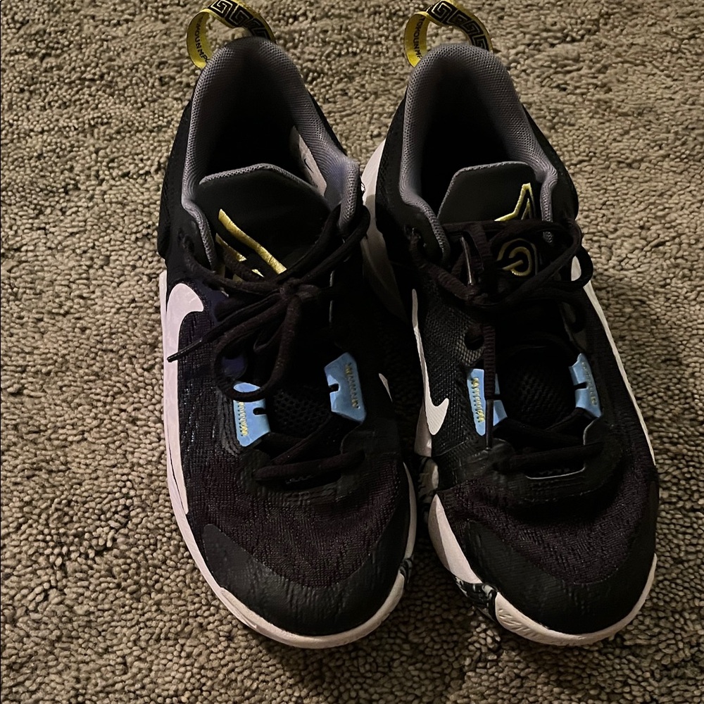 Nike Giannis Immortality 2 basketball shoe in the "Black University Blue"